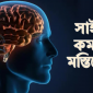 জলবায়ু পরিবর্তনে ছোট হয়েছে মানব মস্তিস্ক: গবেষণা